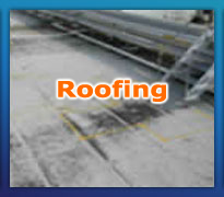 Roof Moisture